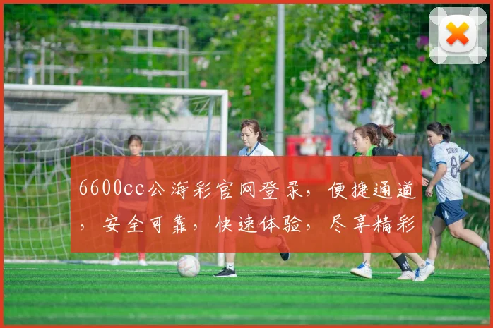 6600cc公海彩官网登录，便捷通道，安全可靠，快速体验，尽享精彩，三重保障，一触即达